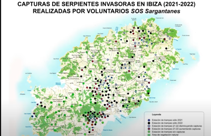 Snake population in 2021